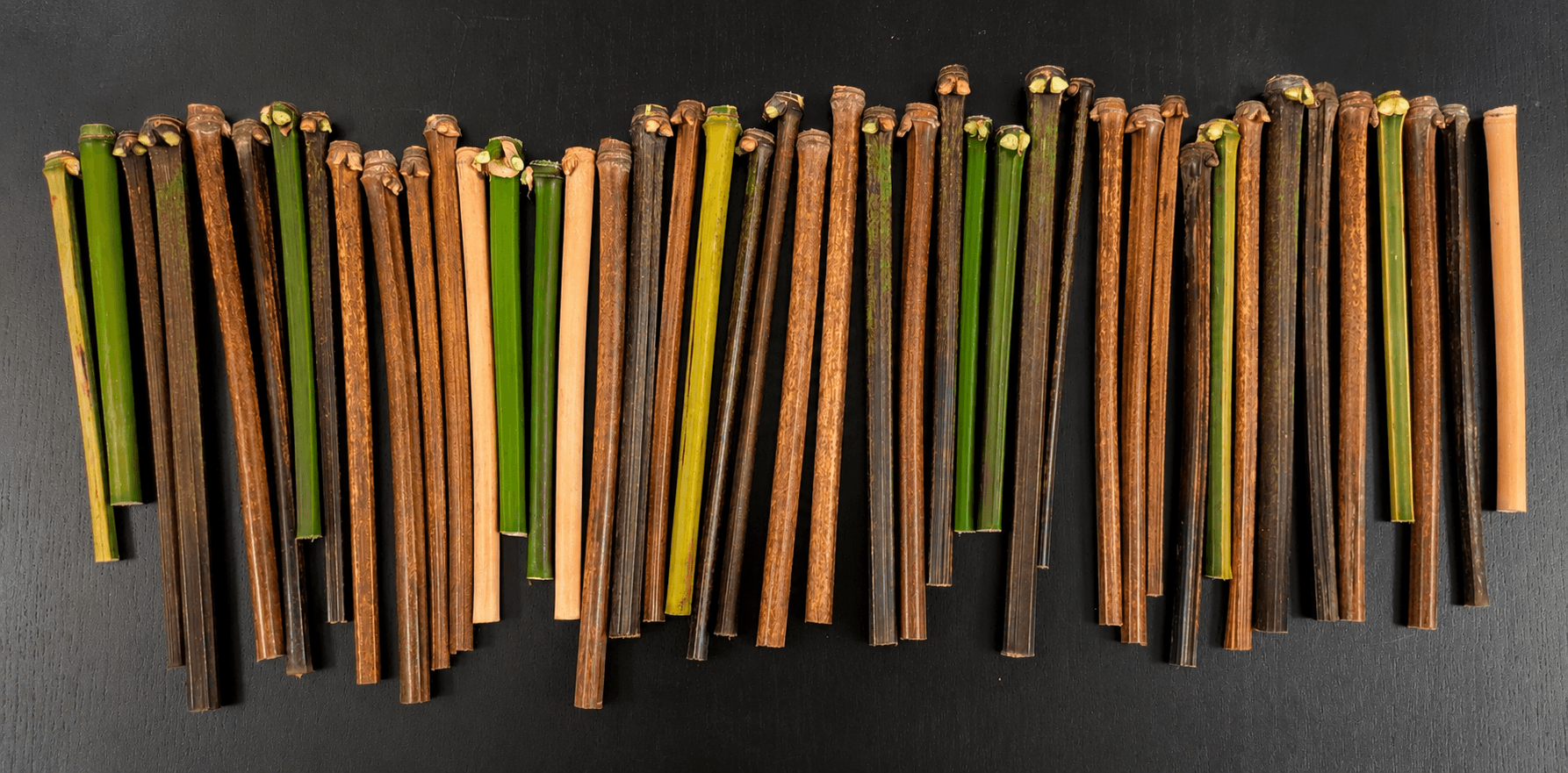Variety of artisan bamboo Bambillas