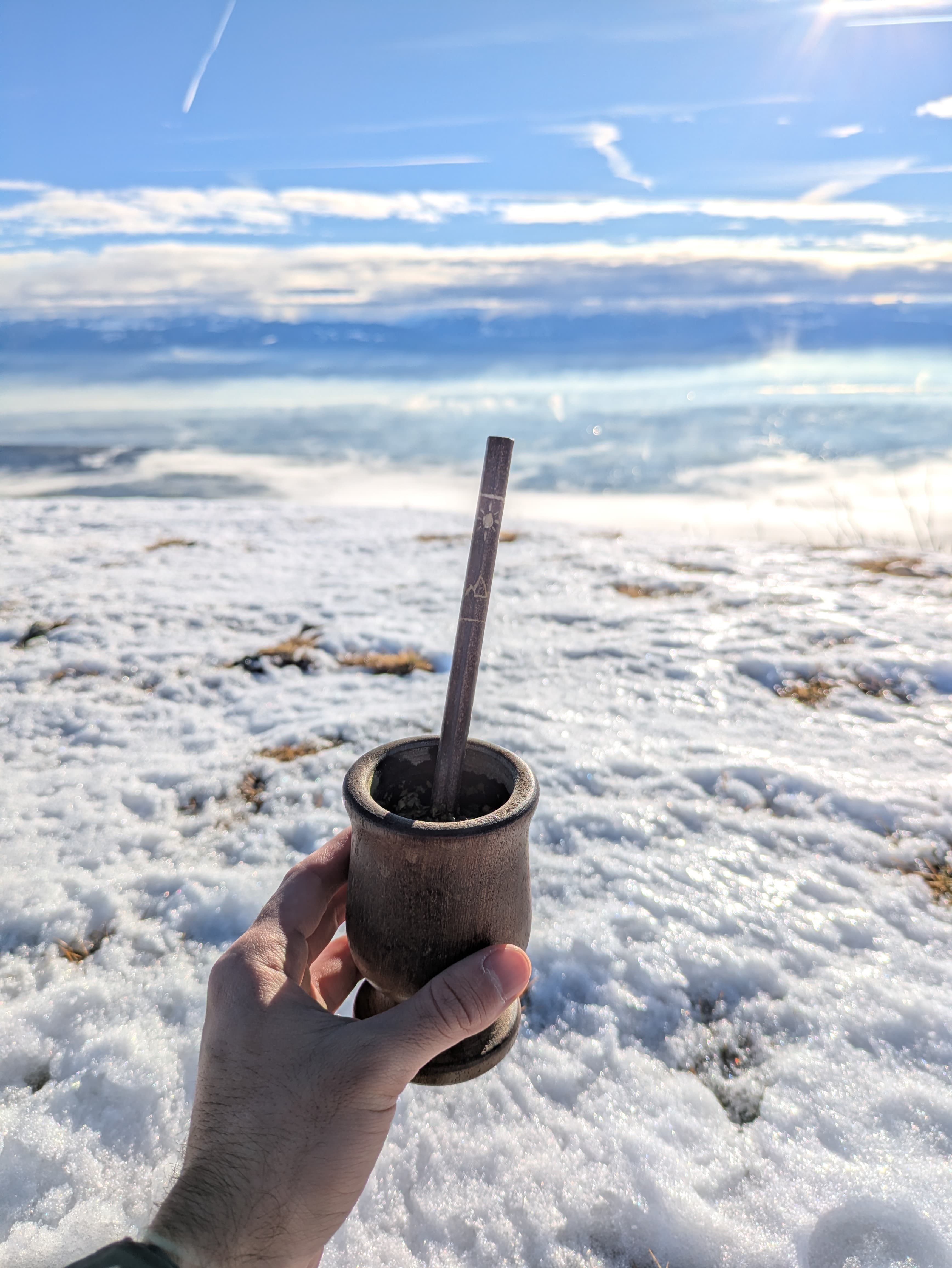 Maté dégusté en pleine nature avec une Bambilla